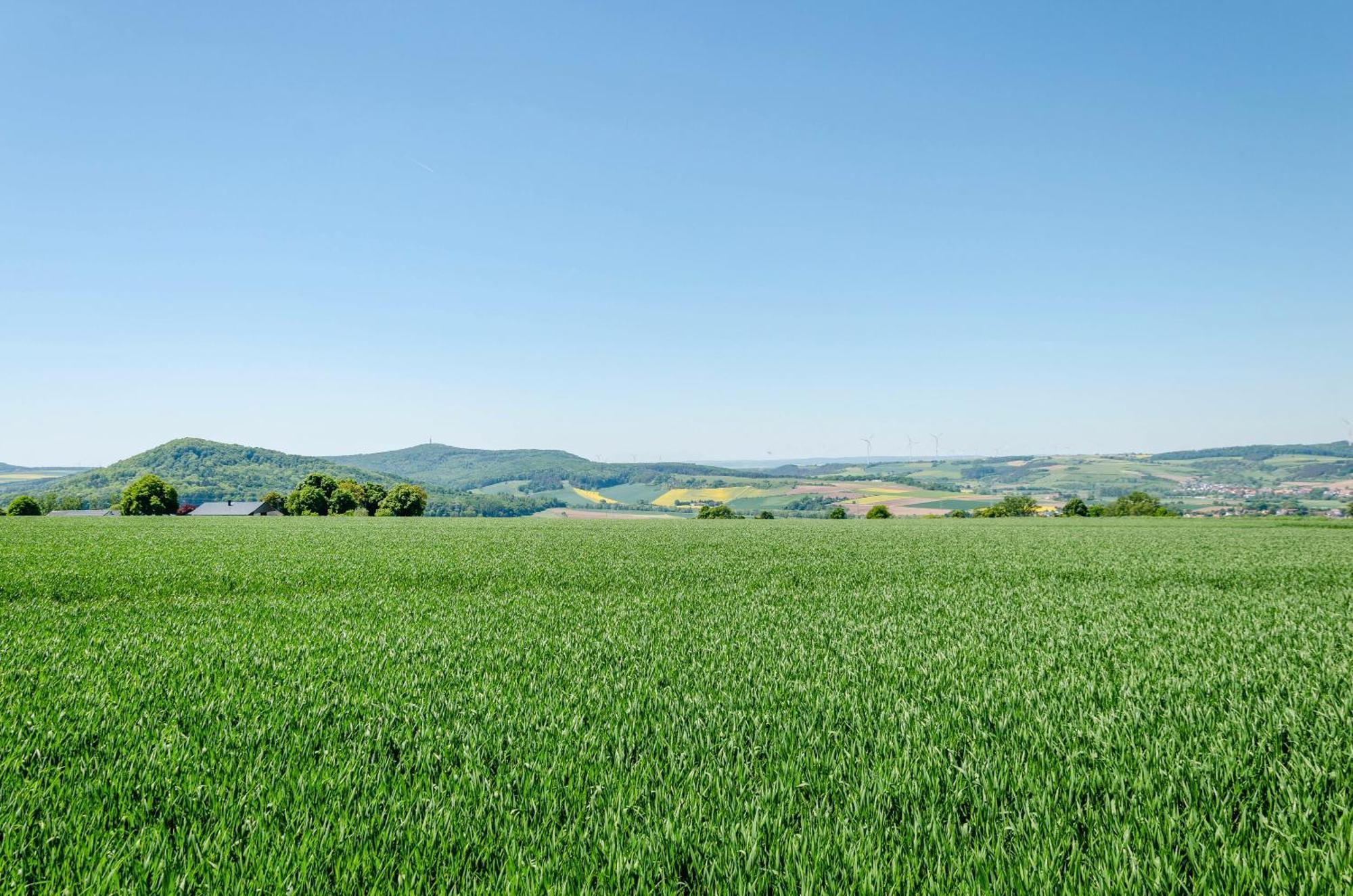 Ferienwohnung Landleben Hofgeismar Exteriör bild