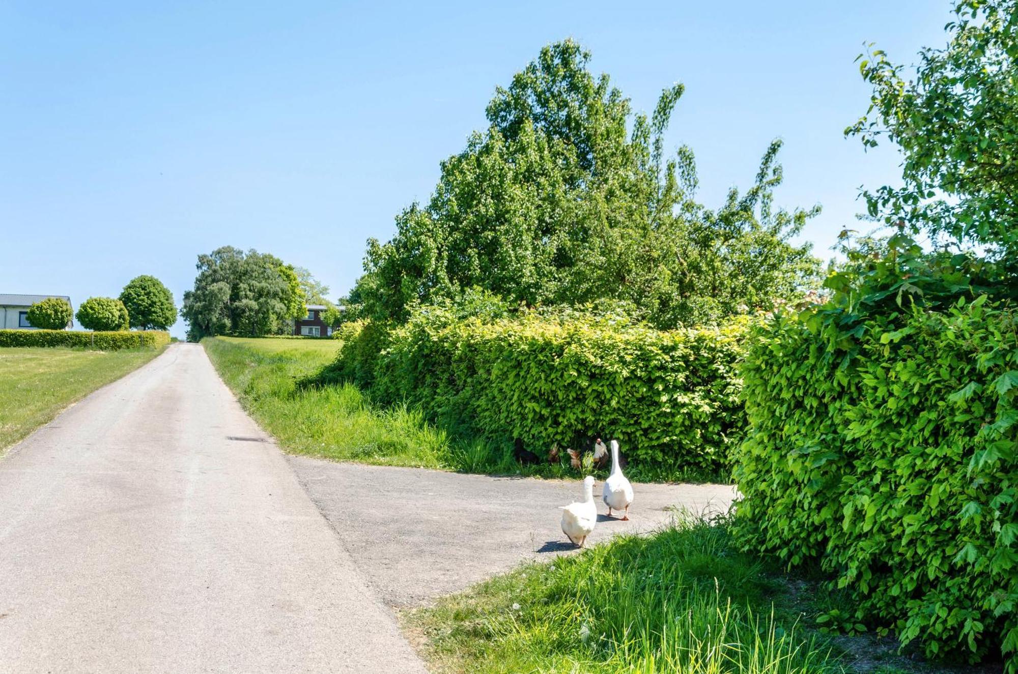 Ferienwohnung Landleben Hofgeismar Exteriör bild