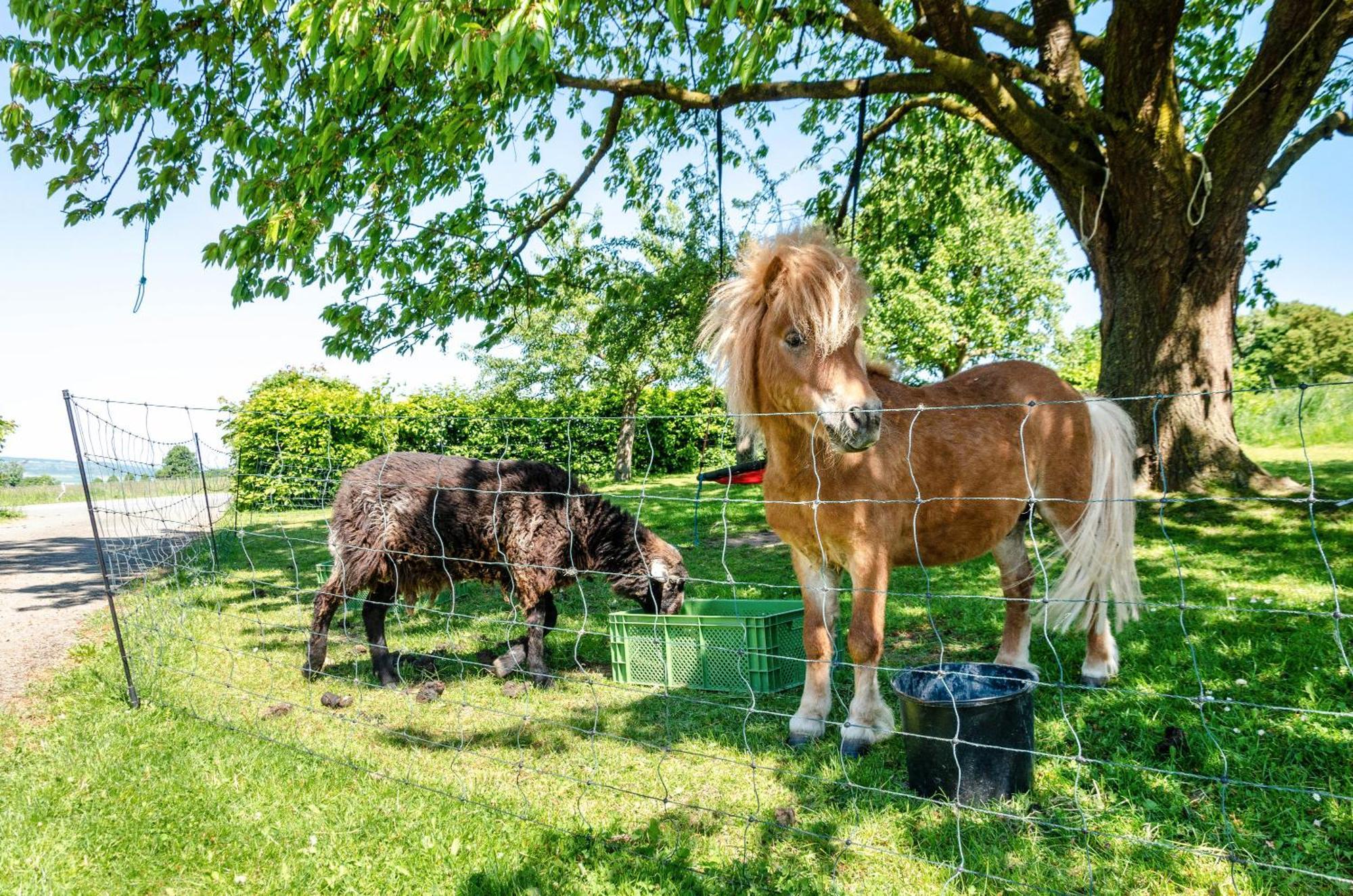 Ferienwohnung Landleben Hofgeismar Exteriör bild