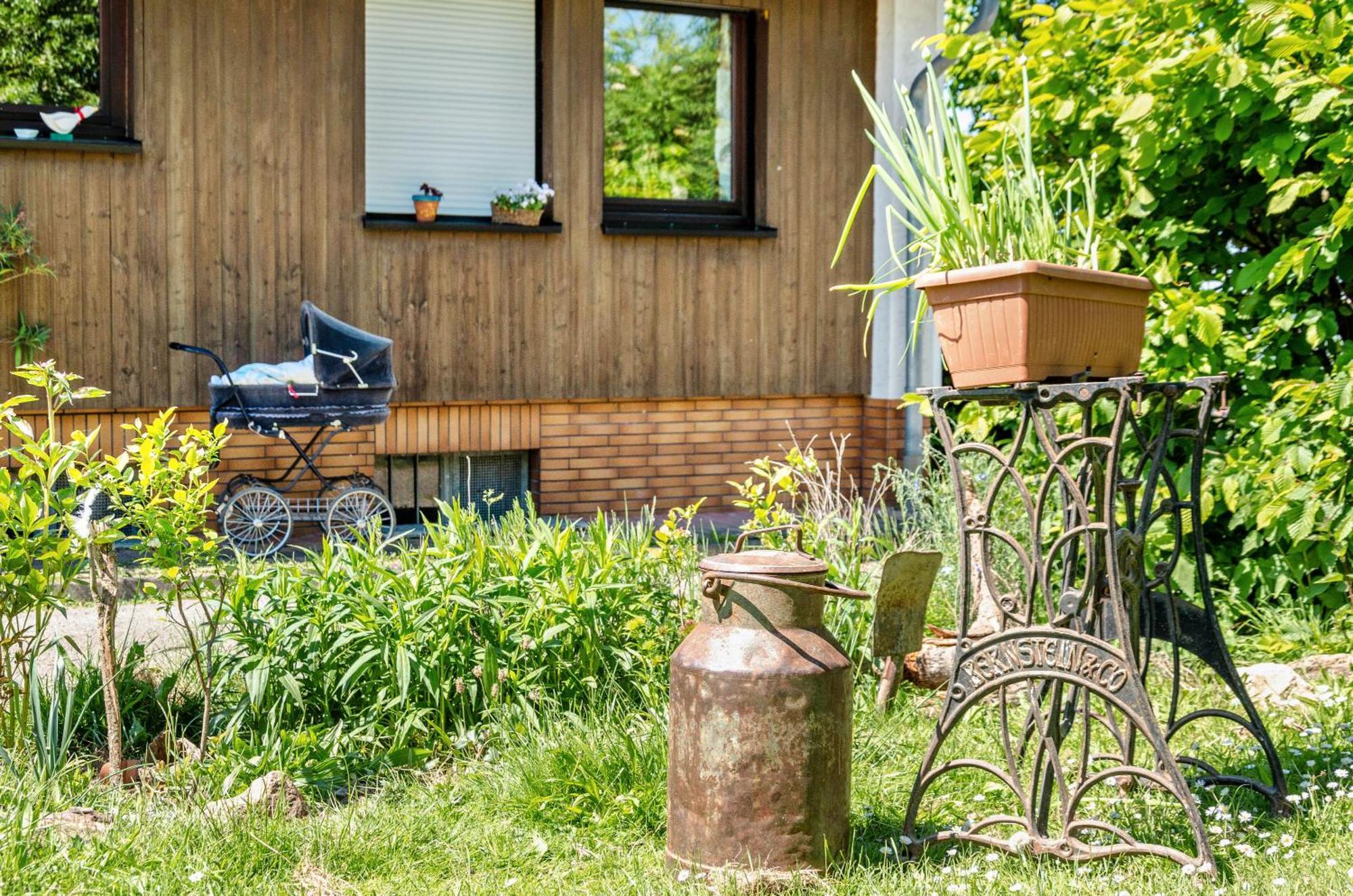 Ferienwohnung Landleben Hofgeismar Exteriör bild