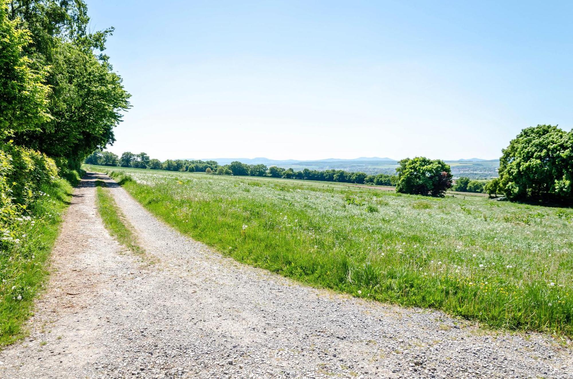 Ferienwohnung Landleben Hofgeismar Exteriör bild
